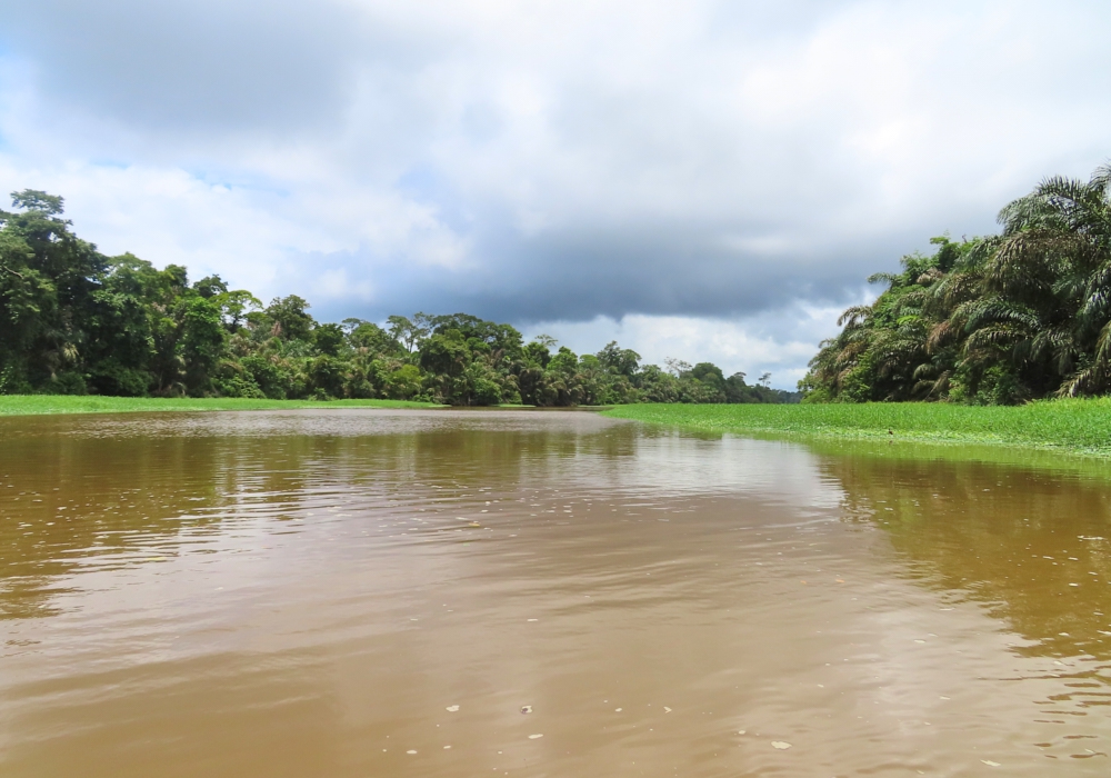 Day 02 - San Jose - Tortuguero