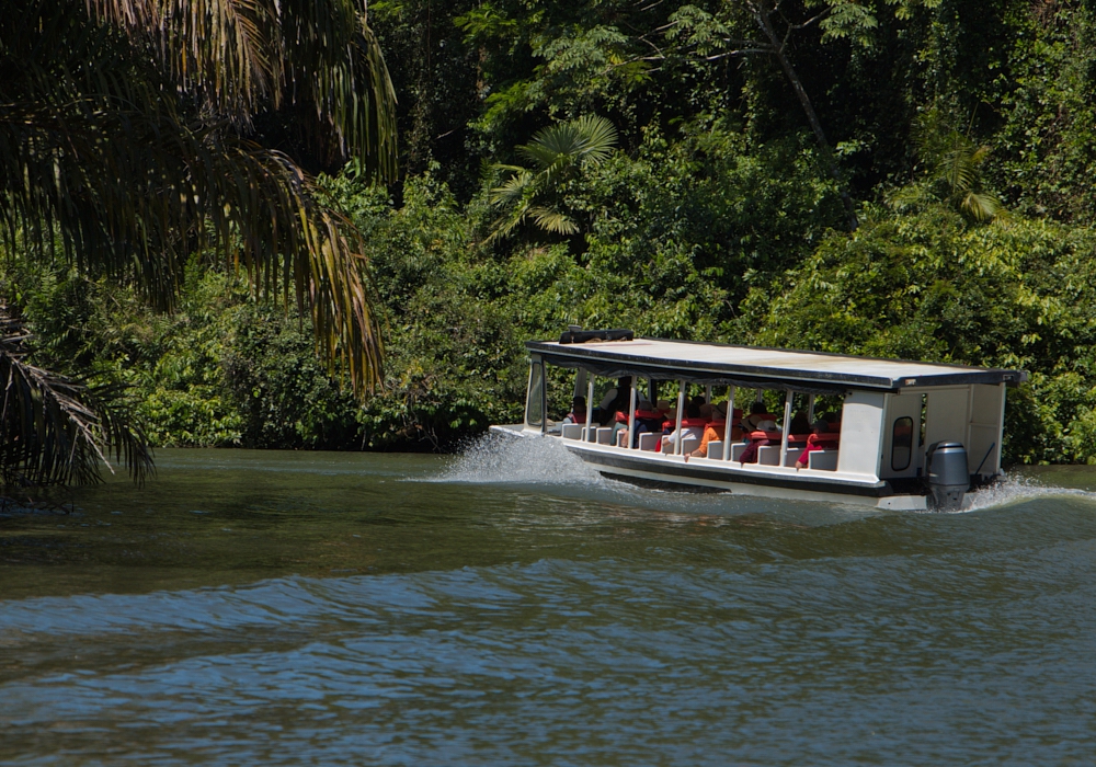 Day 02 - San Jose - Tortuguero National Park