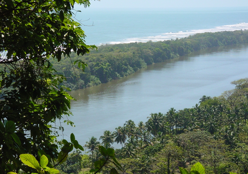 Day 02 - San Jose - Tortuguero