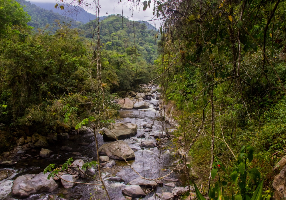 DAY 02 - Santa Marta - The Lost City