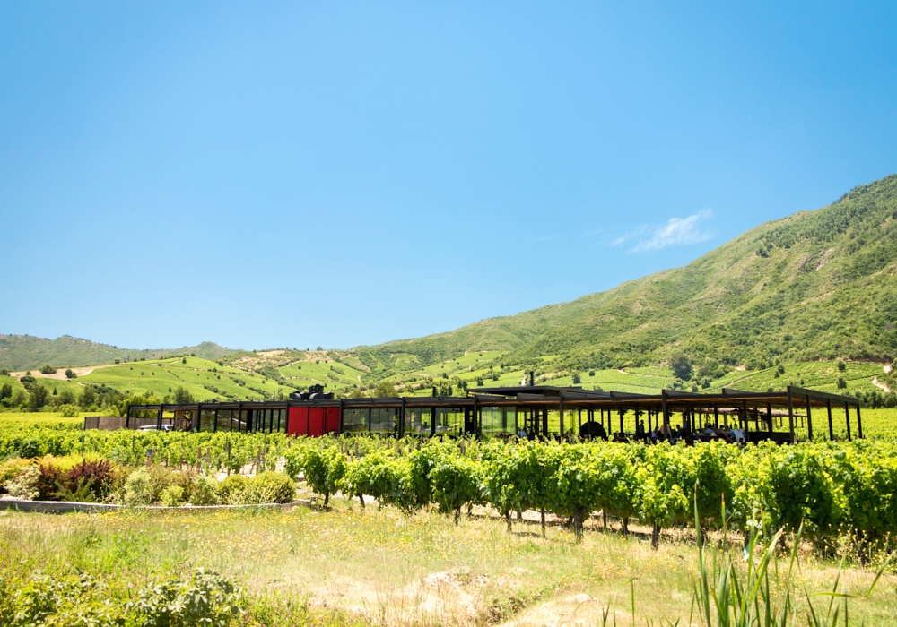 Day 02 - Santiago – Santa Cruz, Colchagua Valley