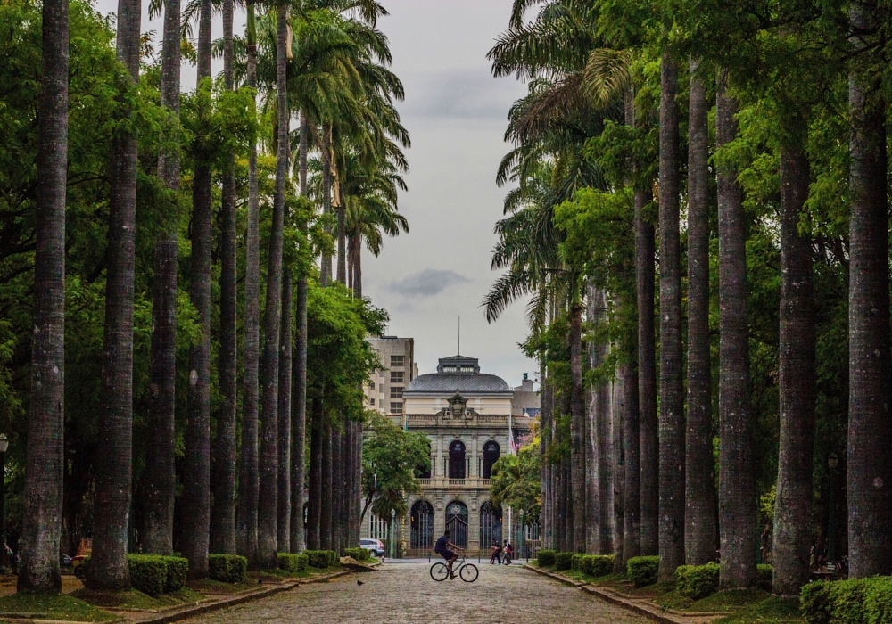 Day 02 - Sao Paolo