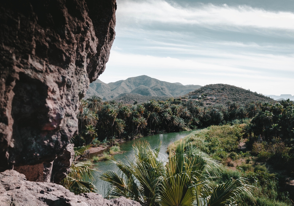 Day 02 - Sierra de la Laguna Biosphere Hike