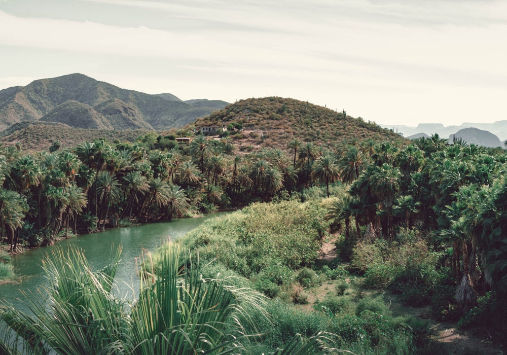 Day 02 - Sierra de la Laguna Biosphere Hike