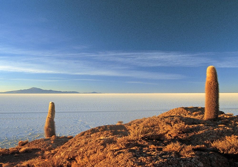 DAY 02 - UYUNI