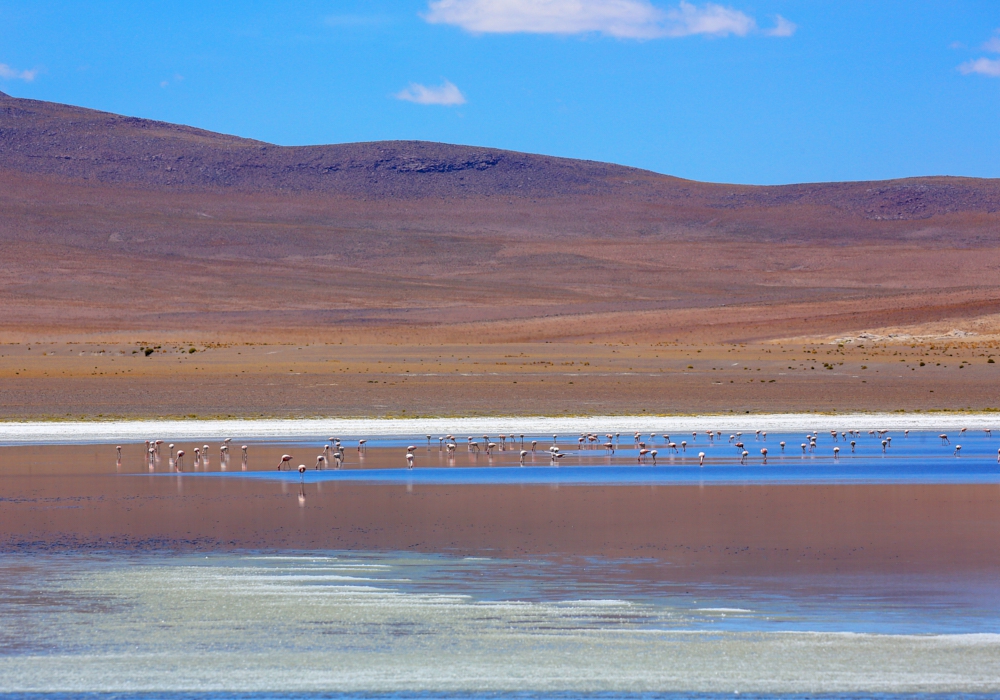 Day 02 - Uyuni Salt Flats