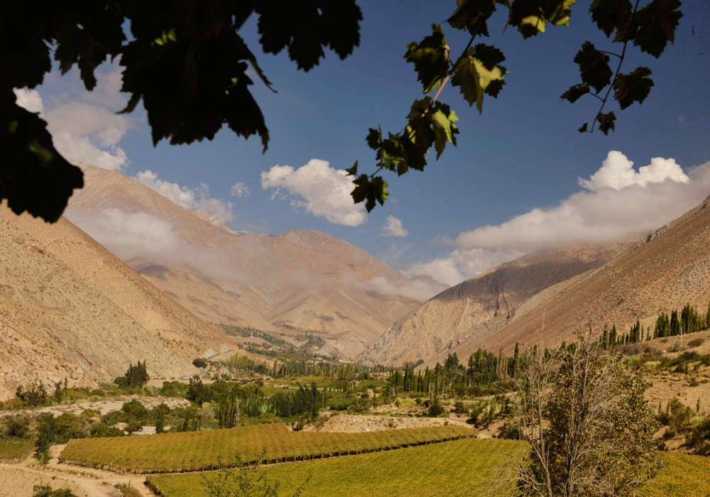 Day 02 - Vicuña - Elqui Valley - Vicuña