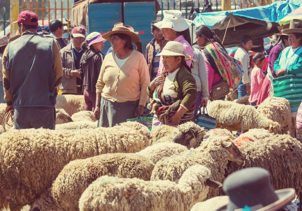 Day 03 - Acclimatization in  Huaraz