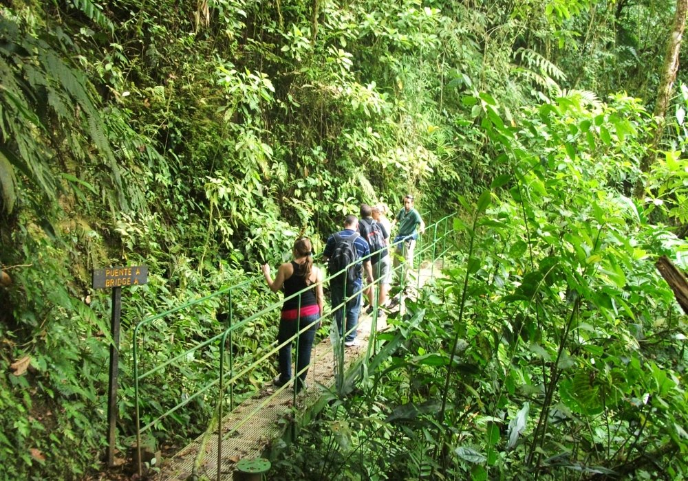 Day 03 - Arenal National Park