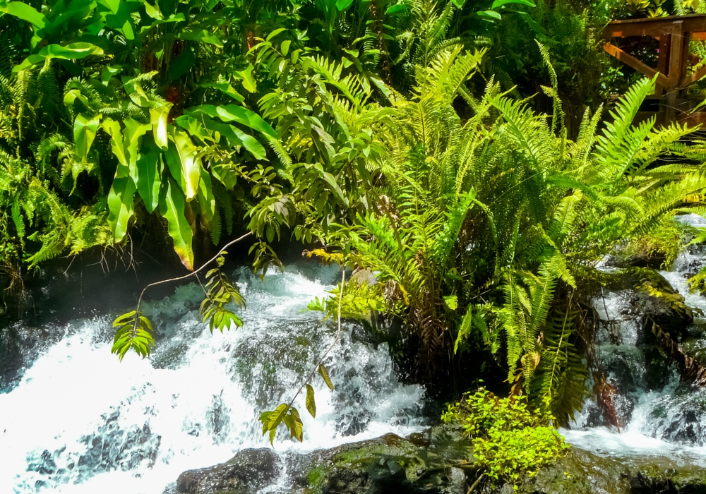 Day 03 - Bajos del Toro  - Arenal