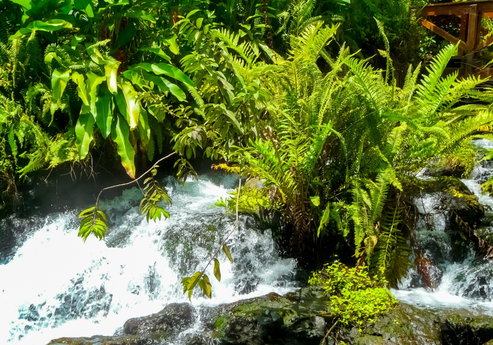 DAY 03 - Bajos del Toro - Arenal