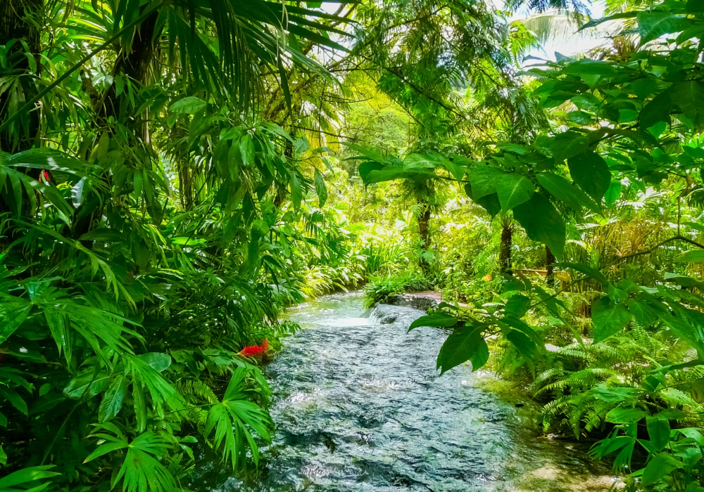 Day 03 - Bajos del Toro - Arenal