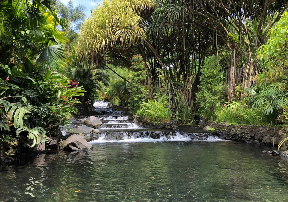 DAY 03 - Bajos del Toro - Arenal