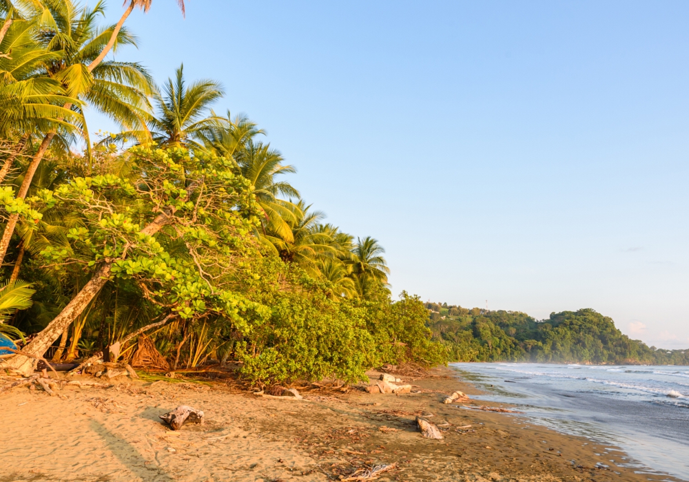 Day 03 - Ballena National Marine Park