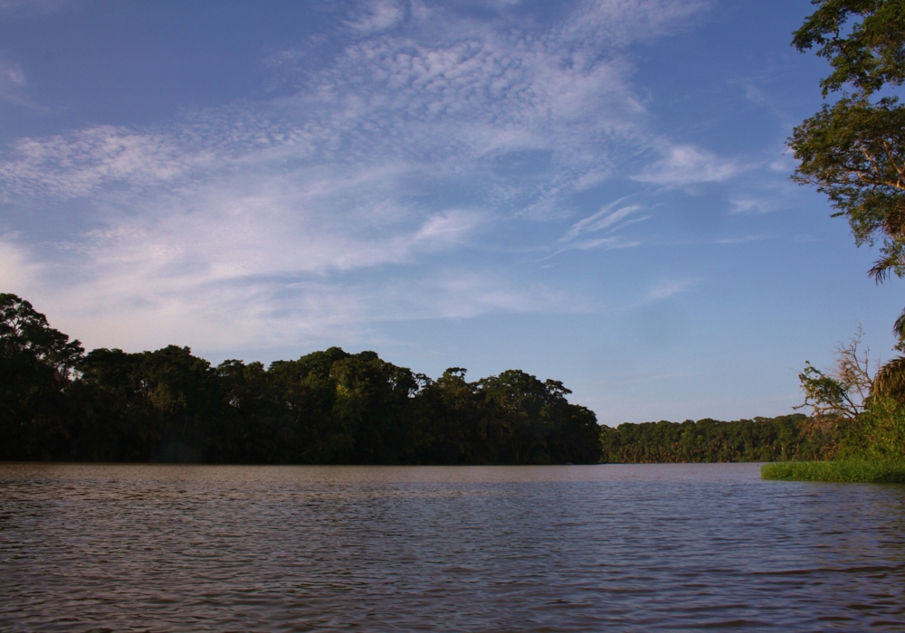 Day 03 - Cabecar Reserve