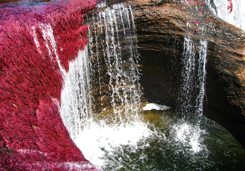 DAY 03 - Caño Cristales