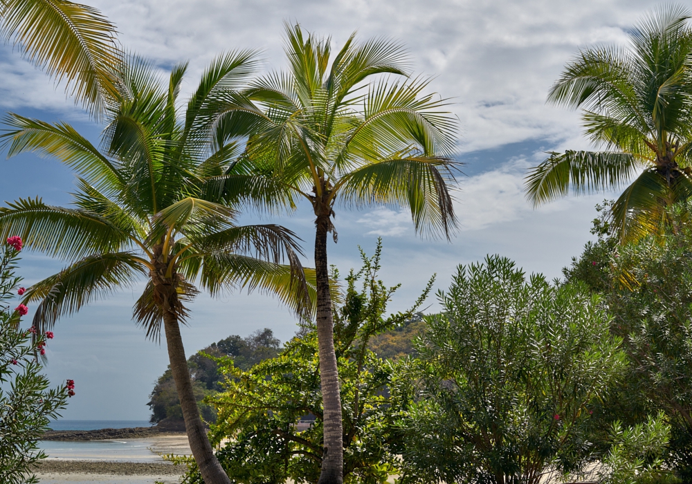 DAY 03 - Contadora Island - Panama City