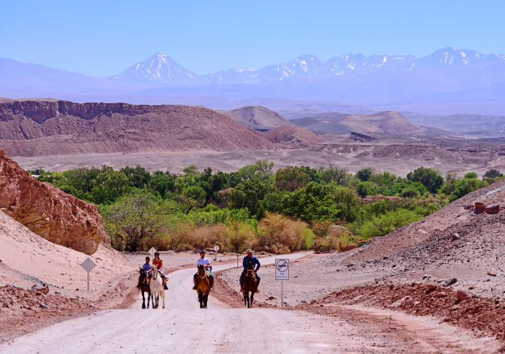 DAY 03 - Cumbres San Pedro