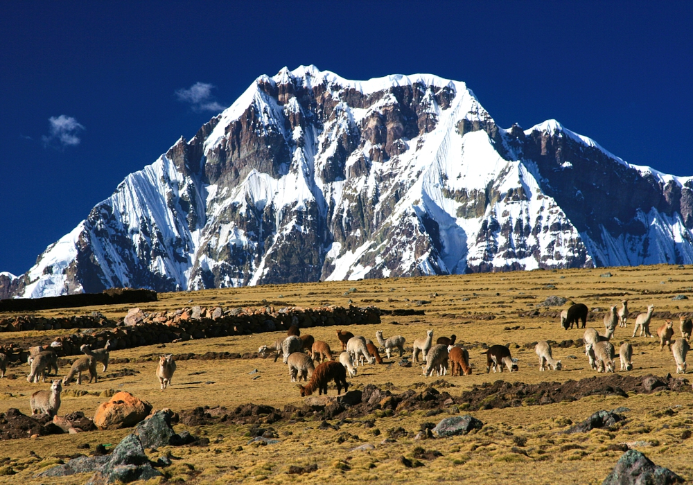 Day 03 - Cusco to Ausangate