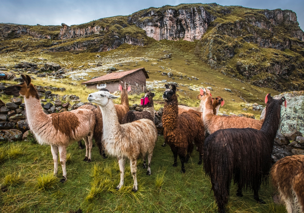 Day 03 - Cusco to Ausangate