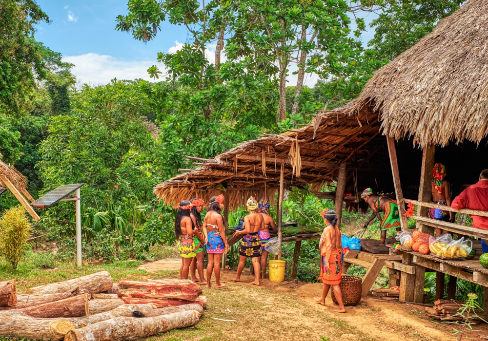 DAY 03 –  Embera Indigenous Community