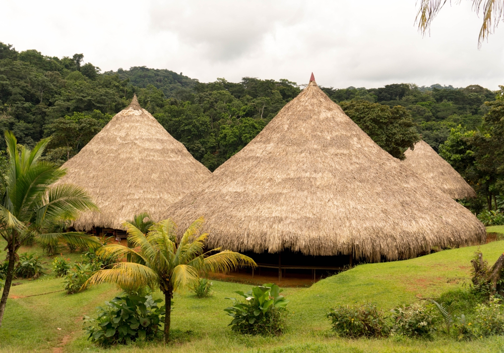 DAY 03 –  Embera Indigenous Community