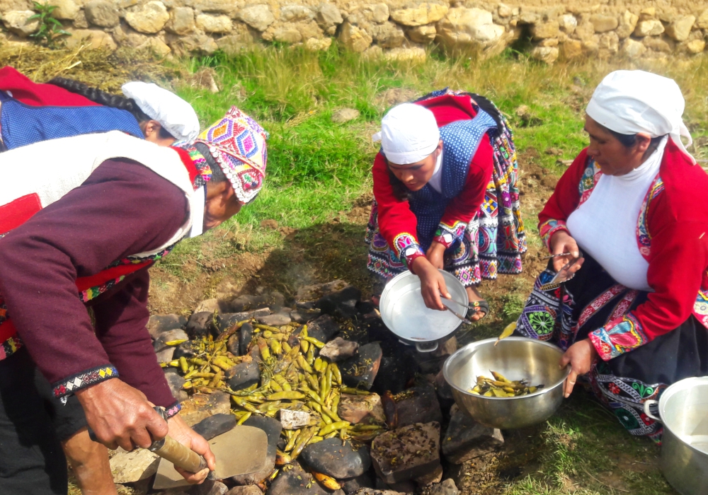 Day 03 - Full Day Sacred Valley   Visit Pisac, Potato Park & Ollantaytambo