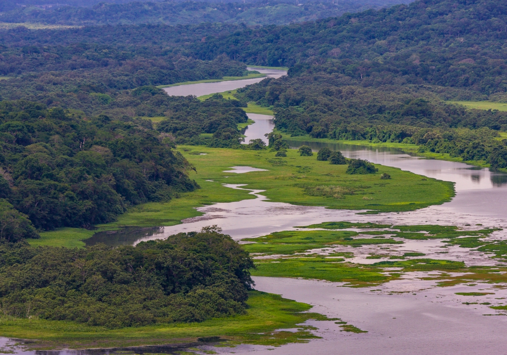 DAY 03 - Gamboa - Gatun Expedition