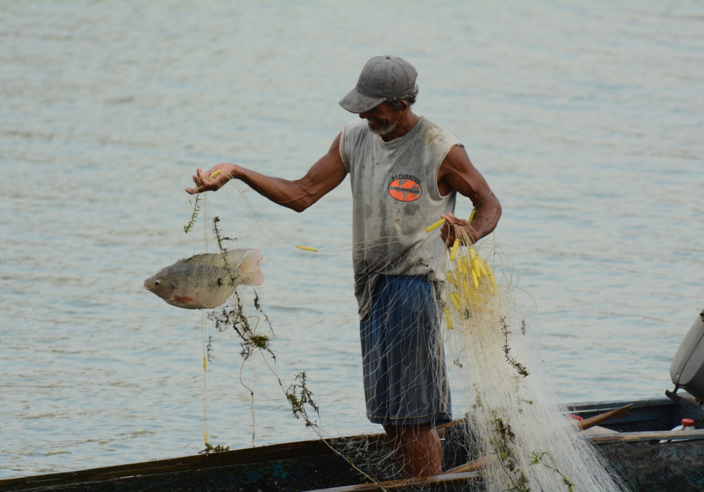 DAY 03 - Gamboa - Gatun Expedition