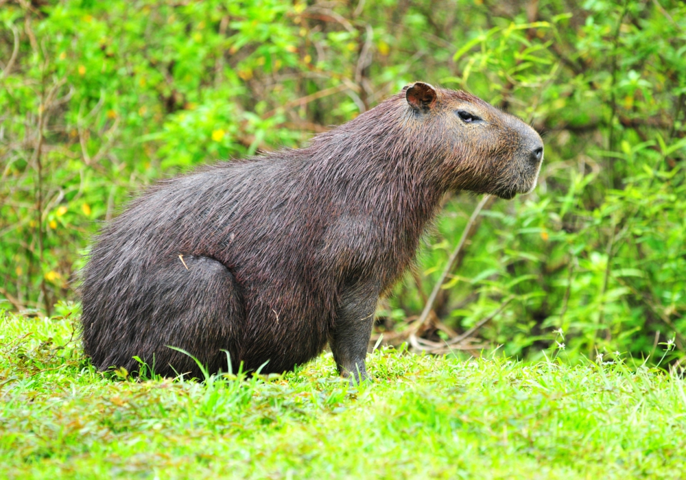 DAY 03 - Gamboa - Gatun Expedition