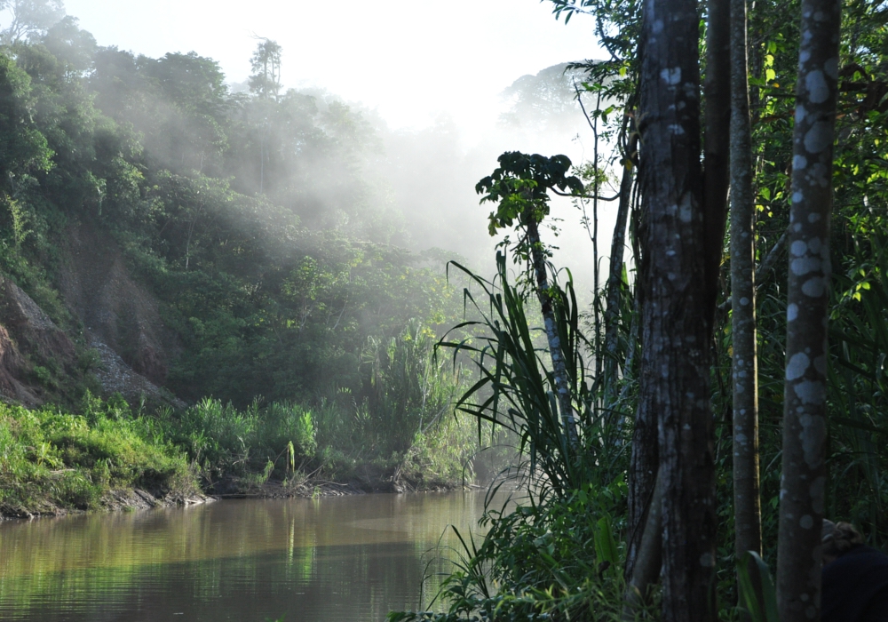 Day 03 - Lima to Amazon    Amazon Trip