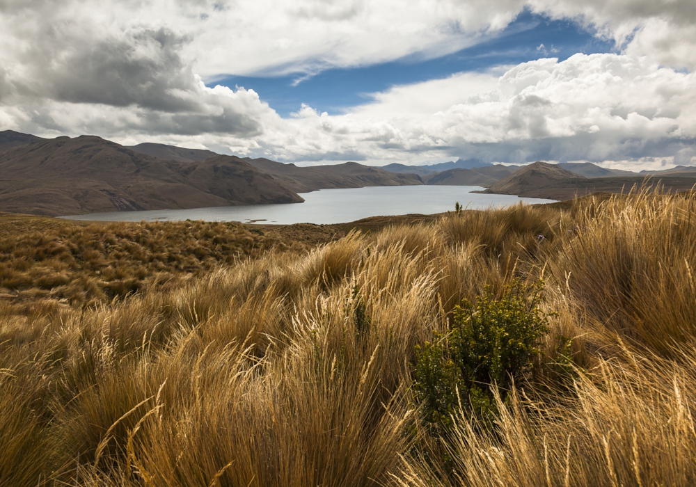 Day 03 - Mica Lake - El Carmen River