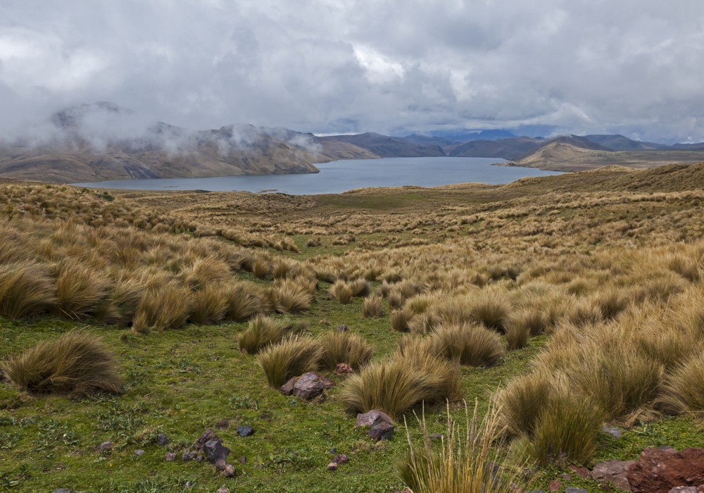 Day 03 - Mica Lake - El Carmen River