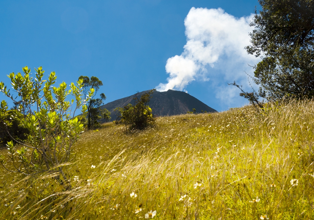 Day 03 - Pacaya Volcano