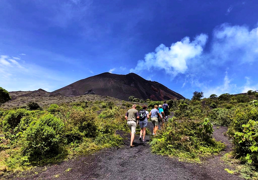 Day 03 - Pacaya Volcano