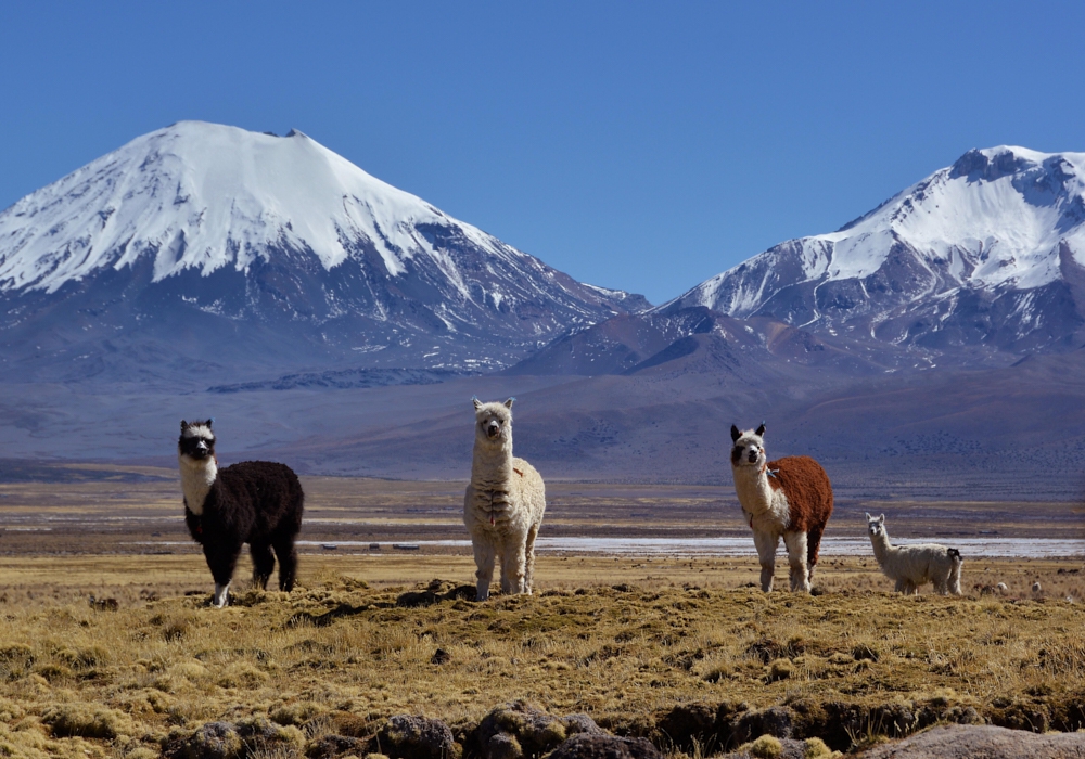 Day 03 - San Pedro de Atacama