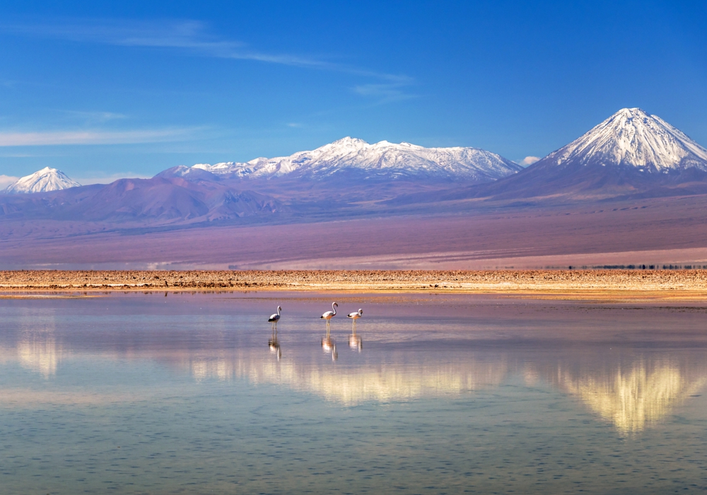 Day 03 - San Pedro de Atacama - Altiplanic Lagoons – San Pedro de Atacama