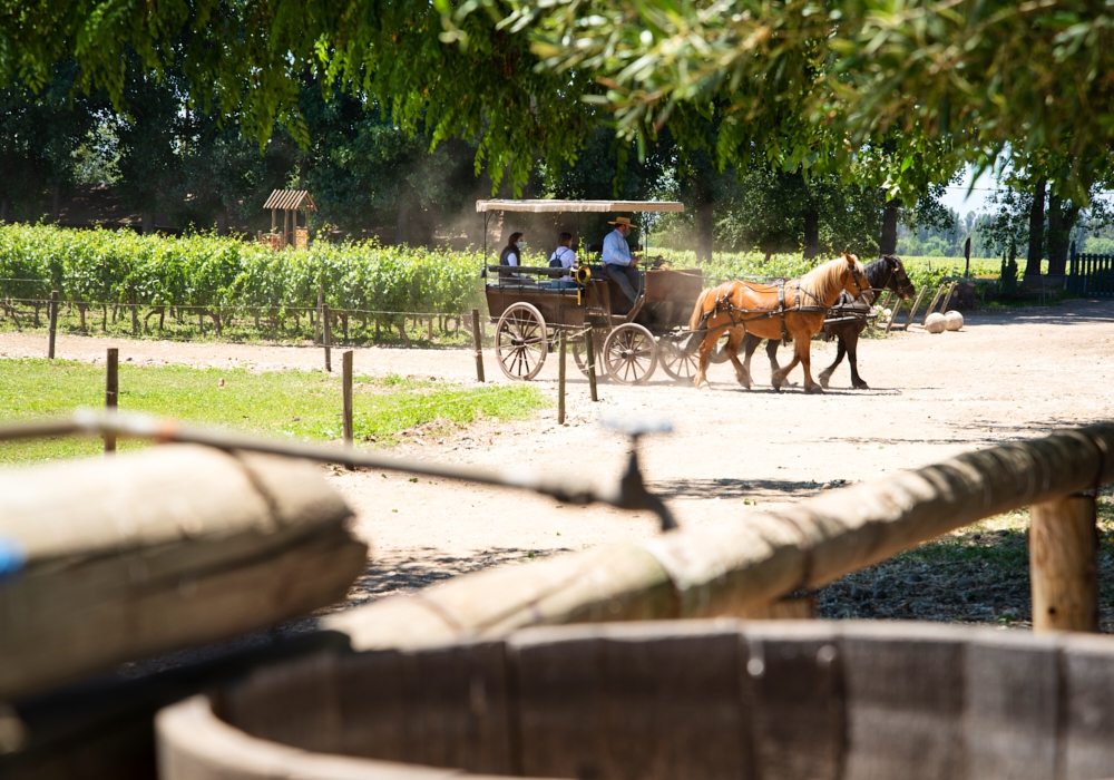 Day 03 - Santa Cruz, Colchagua Valley