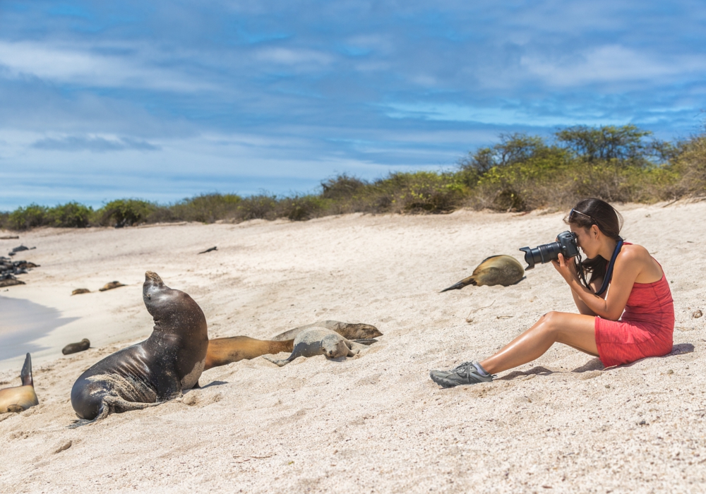 Day 03 - Santa Cruz Island