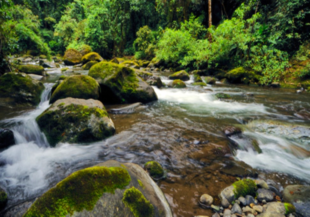 DAY 03 - Savegre -  Whitewater Rafting