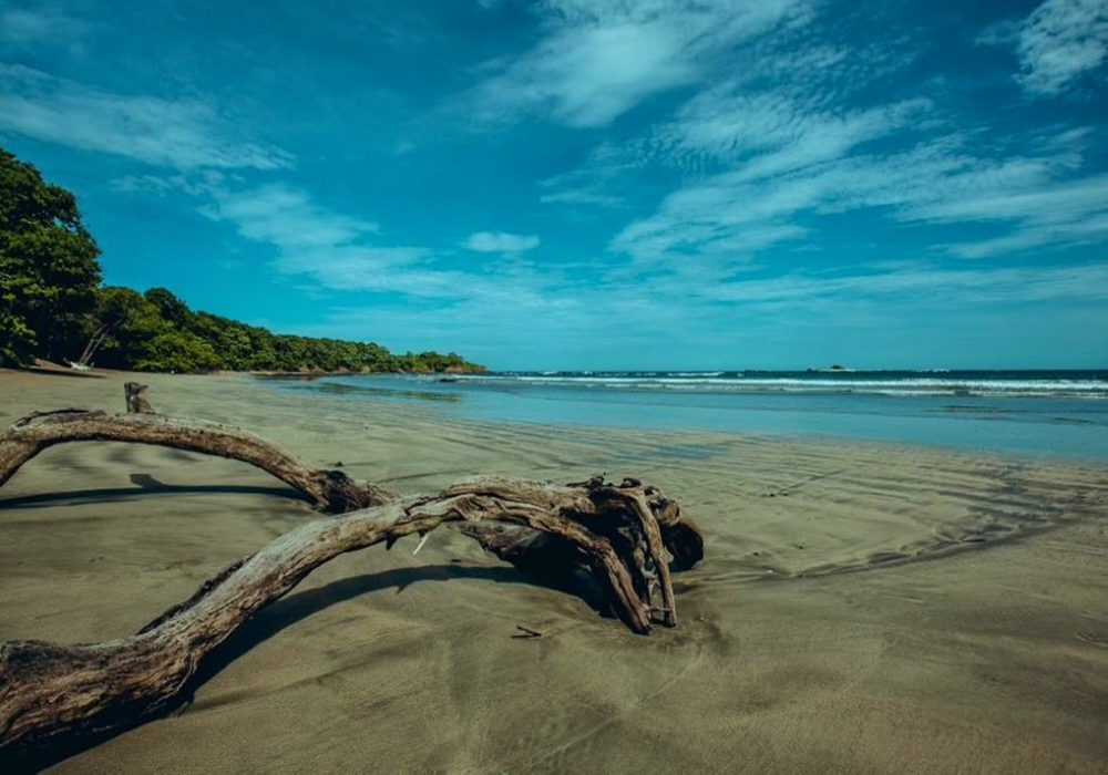 Day 03 - Tamarindo