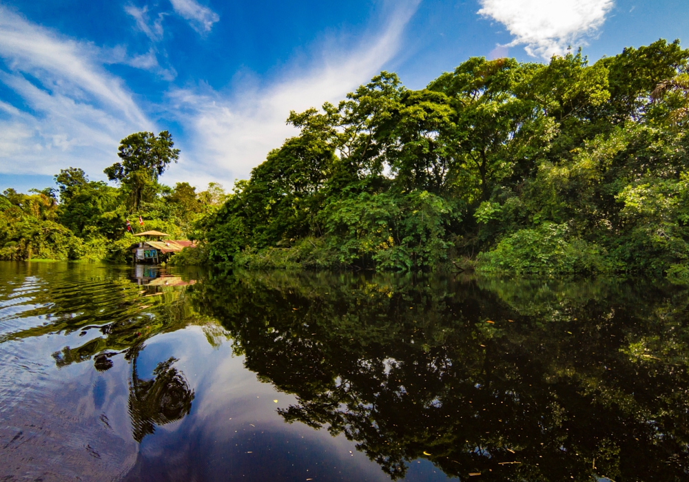 Day 03 - Tortuguero