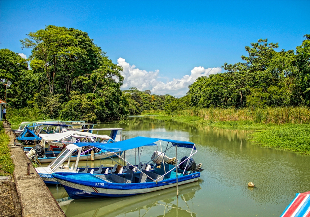 Day 03 - Tortuguero