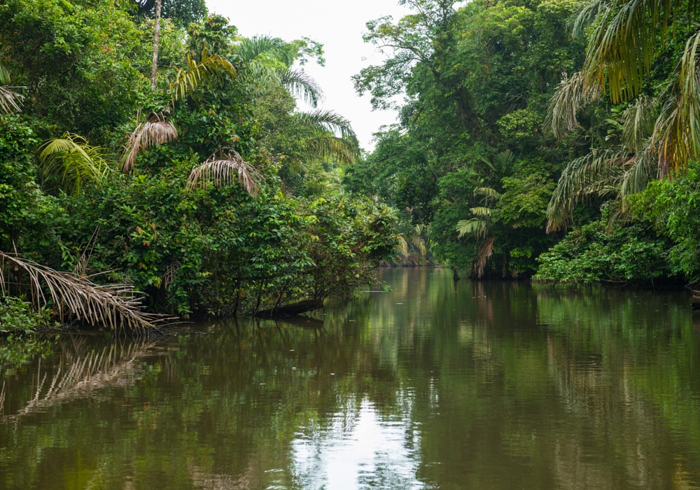 Day 03 - Tortuguero