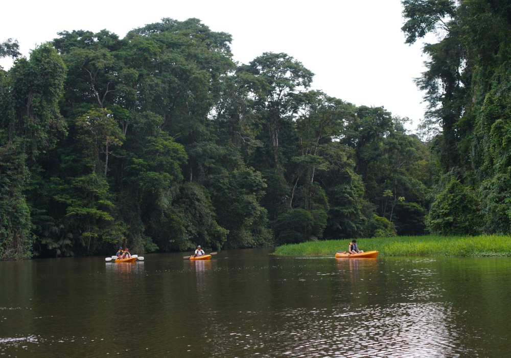 Day 03 -Tortuguero National Park