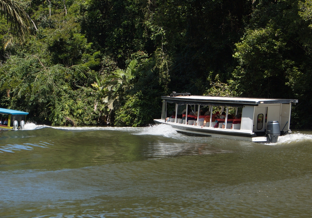 Day 03 -Tortuguero National Park