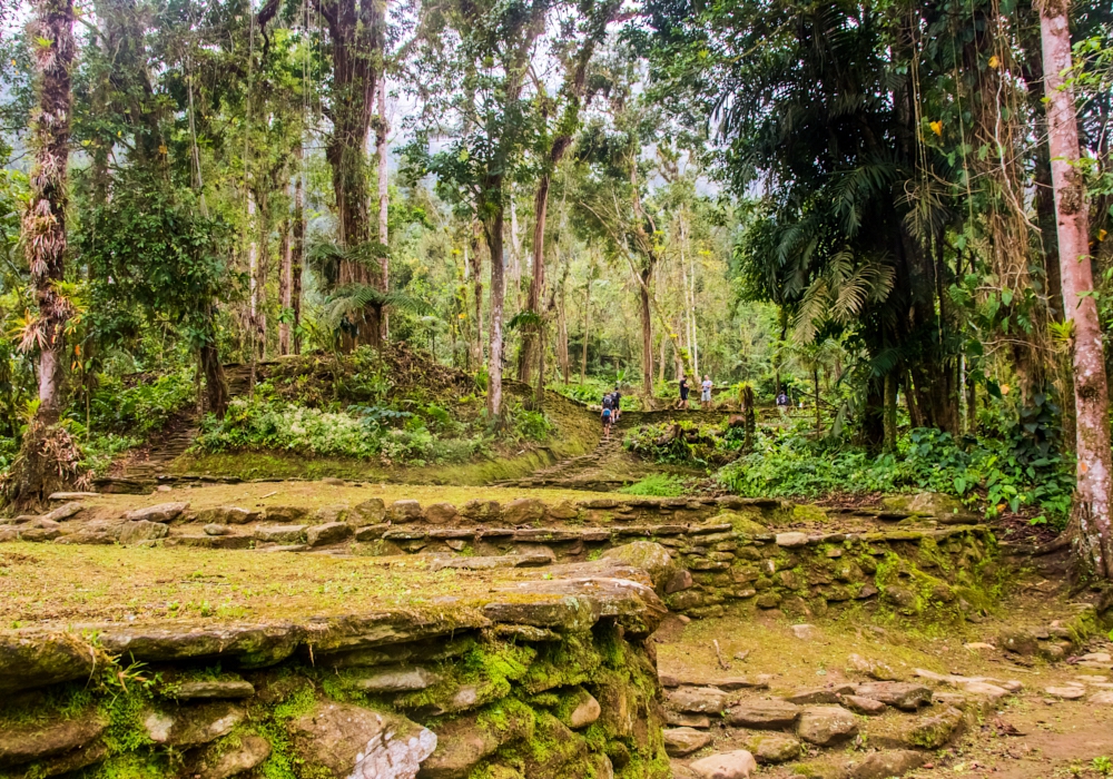 DAY 03 - Trekking in The Lost City Archaeological Park