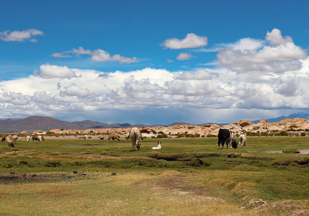 DAY 03 – UYUNI