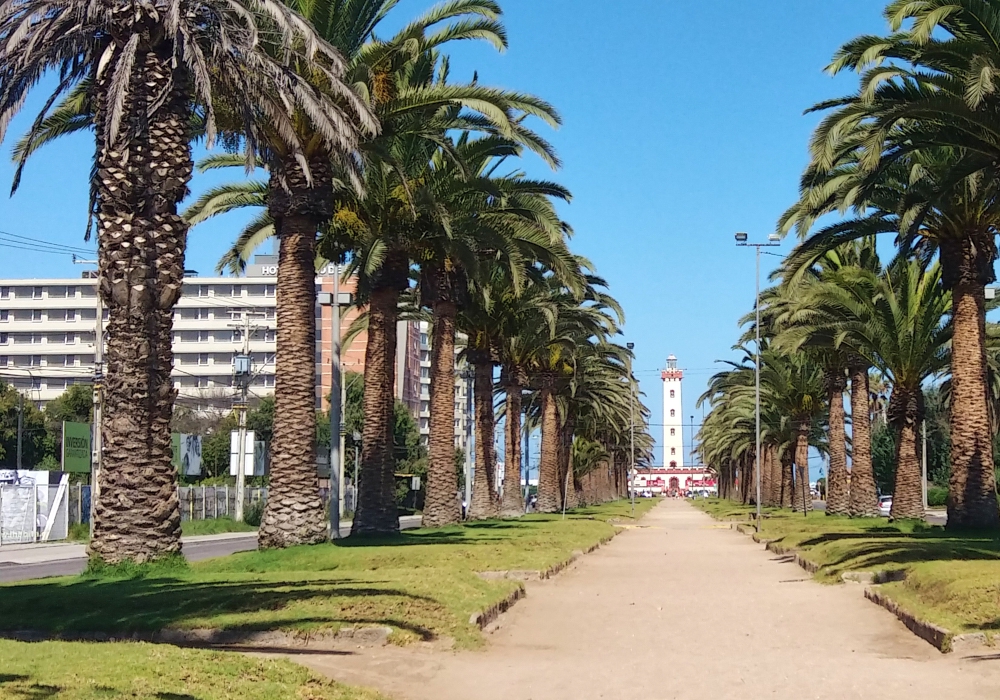 Day 03 - Vicuña (Elqui Valley) – La Serena