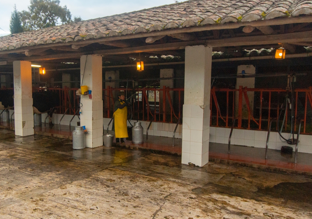 Day 03 - Zuleta Hacienda